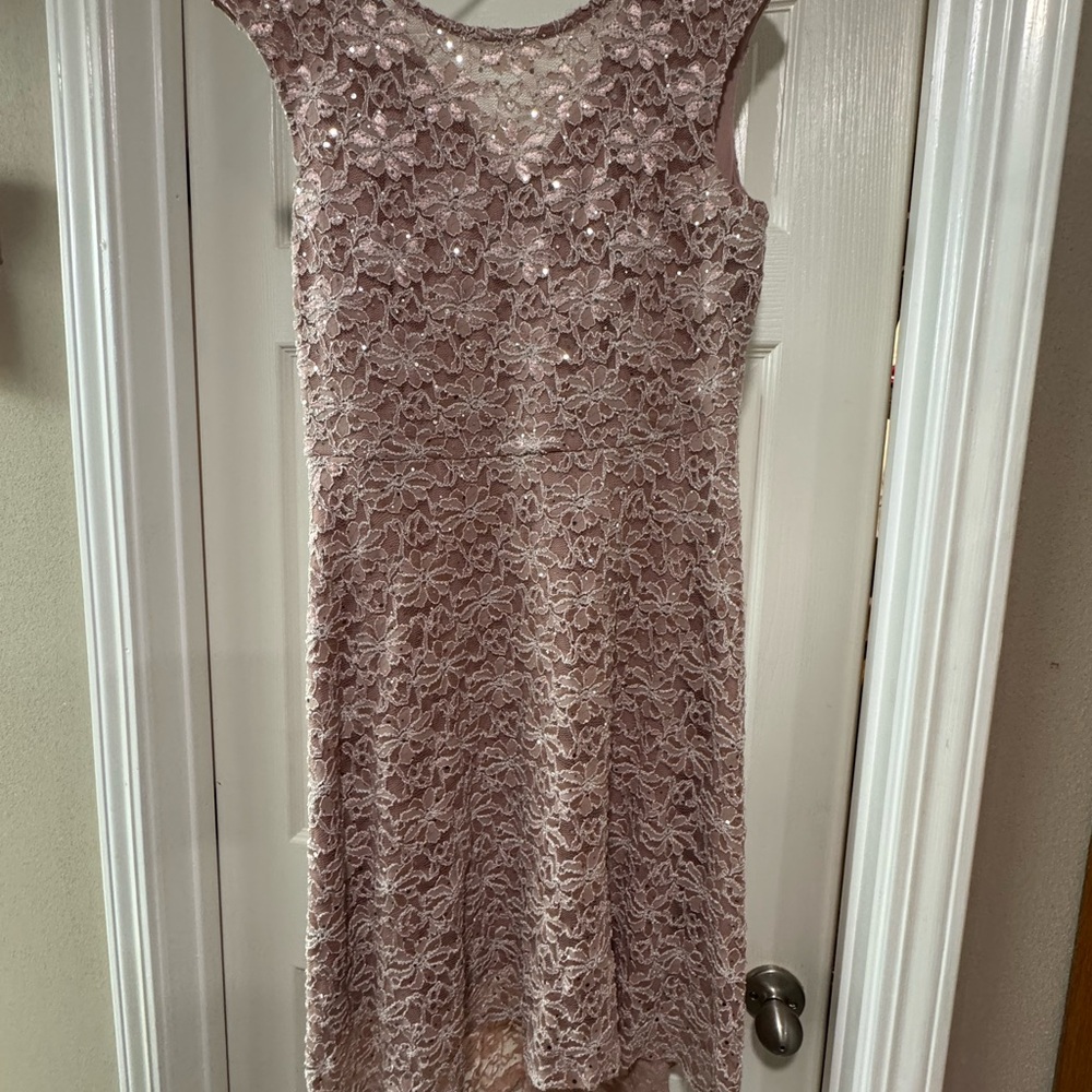 Elegant Lace Pink Dress